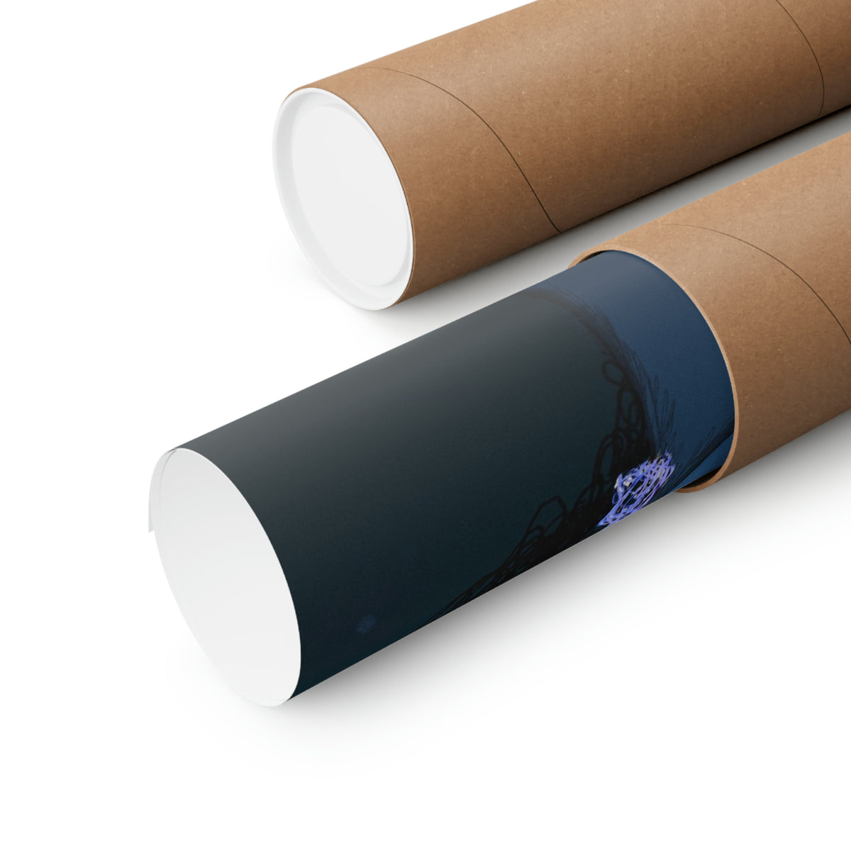 Premium Matte Vertical Posters
