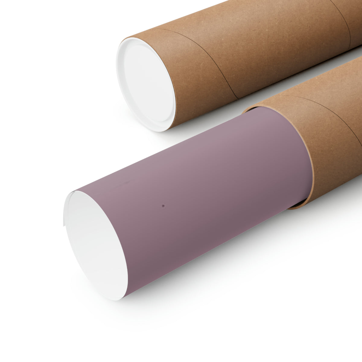 Premium Matte Vertical Posters