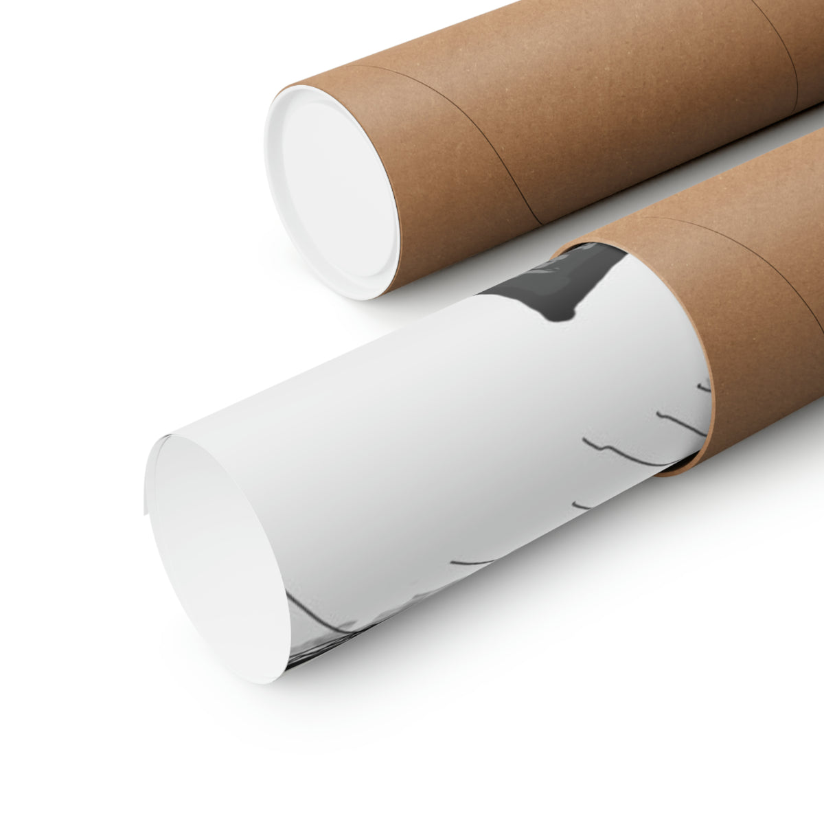 Premium Matte Vertical Posters